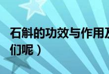 石斛的功效与作用及食用方法（该如何食用它们呢）