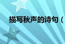 描写秋声的诗句（描写秋声的诗句介绍）