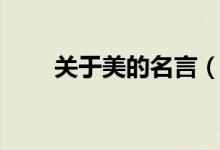 关于美的名言（关于美的名言列述）