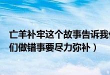 亡羊补牢这个故事告诉我们什么道理（《亡羊补牢》告诉我们做错事要尽力弥补）