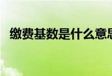缴费基数是什么意思（缴费基数意思简述）