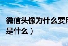 微信头像为什么要用圣诞帽（用圣诞帽的原因是什么）