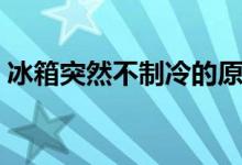 冰箱突然不制冷的原因（为什么冰箱不制冷）