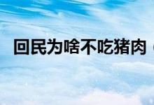 回民为啥不吃猪肉（回民不吃猪肉的原因）