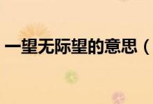 一望无际望的意思（词语一望无际望的意思）