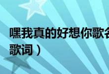 嘿我真的好想你歌名叫什么（如果没有你完整歌词）