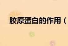胶原蛋白的作用（胶原蛋白有哪些作用）