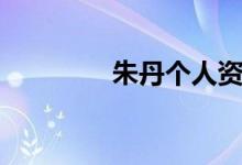 朱丹个人资料(朱丹介绍)