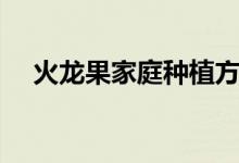 火龙果家庭种植方法（火龙果如何种植）