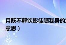 月既不解饮影徒随我身的意思（月既不解饮影徒随我身什么意思）