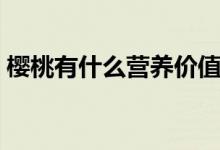 樱桃有什么营养价值（樱桃的营养价值介绍）