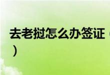 去老挝怎么办签证(凭个人有效护照办理签证)