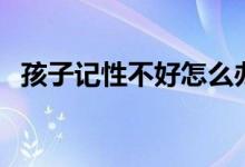孩子记性不好怎么办（通过这三点来调节）