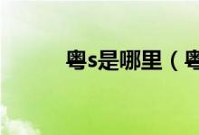 粤s是哪里（粤车牌的相关知识）