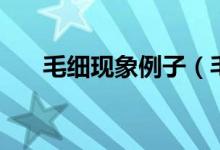 毛细现象例子（毛细现象例子有哪些）