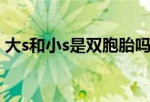 大s和小s是双胞胎吗（大s和小s不是双胞胎）