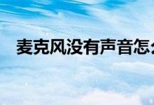麦克风没有声音怎么设置（7步解决问题）