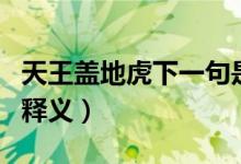 天王盖地虎下一句是什么（有关天王盖地虎的释义）