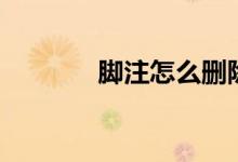 脚注怎么删除（脚注的定义）