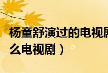 杨童舒演过的电视剧都有哪些（杨童舒演过什么电视剧）