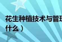 花生种植技术与管理方法（花生种植需要注意什么）