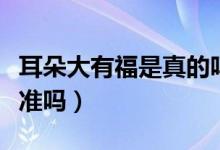 耳朵大有福是真的吗（关于耳朵大有福的说法准吗）