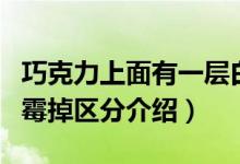 巧克力上面有一层白霜能吃吗（巧克力发白和霉掉区分介绍）
