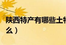 陕西特产有哪些土特产（陕西特产土特产有什么）
