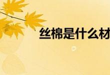 丝棉是什么材料（什么是丝棉）