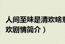 人间至味是清欢啥意思（电视剧人间至味是清欢剧情简介）