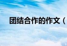 团结合作的作文（团结合作的作文范文）