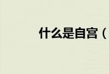 什么是自宫（自宫是什么意思）