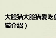 大脸猫大脸猫爱吃鱼是什么歌（蓝皮鼠和大脸猫介绍）
