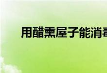 用醋熏屋子能消毒吗（醋有什么功效）