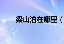 梁山泊在哪里(该地方有什么特色)