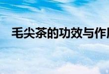 毛尖茶的功效与作用（毛尖茶的6种功效）