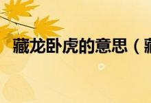 藏龙卧虎的意思（藏龙卧虎的意思是什么）