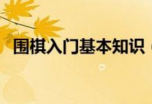 围棋入门基本知识（围棋的基础入门知识）