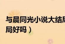与晨同光小说大结局是什么（与晨同光小说结局好吗）