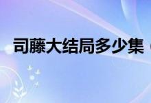 司藤大结局多少集（司藤讲述了什么故事）