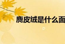 麂皮绒是什么面料（什么是麂皮绒）