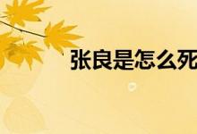 张良是怎么死的（张良的死因）