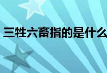 三牲六畜指的是什么（三牲六畜是什么意思）