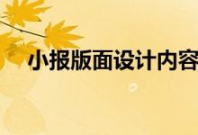 小报版面设计内容（如何设计版面内容）