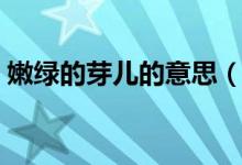 嫩绿的芽儿的意思（嫩绿的芽儿是什么意思）
