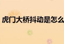 虎门大桥抖动是怎么了（虎门大桥抖动原因）