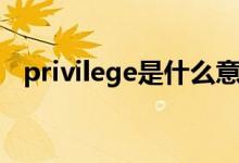privilege是什么意思（privilege的意思）