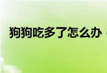 狗狗吃多了怎么办（小狗吃撑了如何解决）