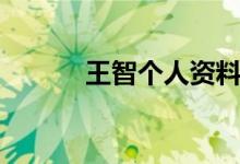 王智个人资料介绍（王智介绍）