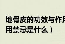 地骨皮的功效与作用禁忌（地骨皮的功效与作用禁忌是什么）